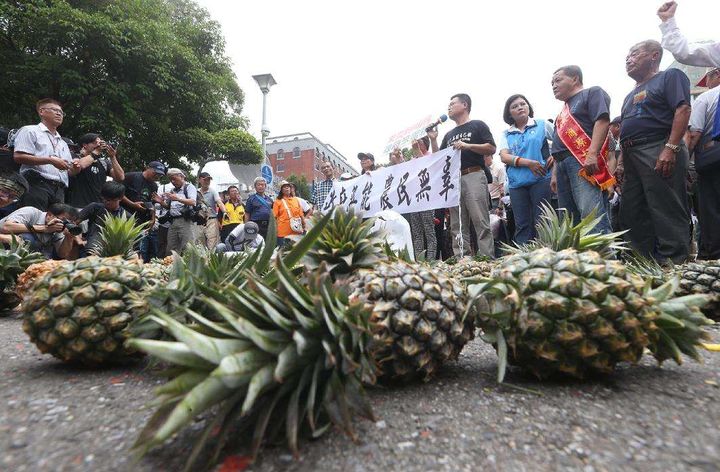 Small Tomatoes In Taiwan Suffered Heavy Losses Due To Pests