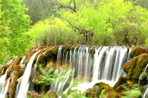 China’s Top Ten Waterfalls-Sichuan Jiuzhaigou Shuzheng Waterfall