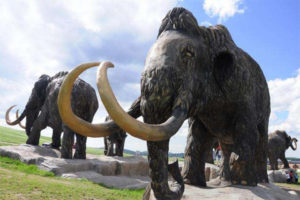 Top 10 Tourist Attractions in Heilongjiang-Qinggang Mammoth Geopark