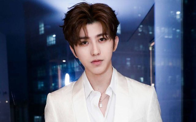 Top 10 Post-90s Actors in China-caixukun