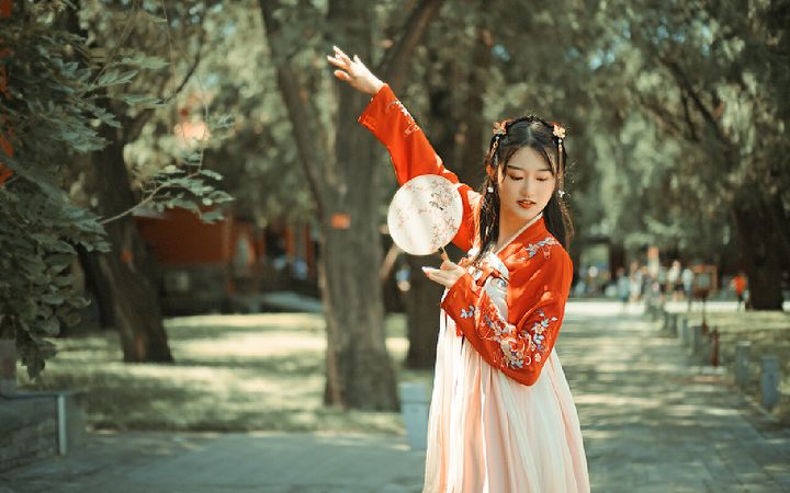 The Fascinating Allure of Hanfu Dress